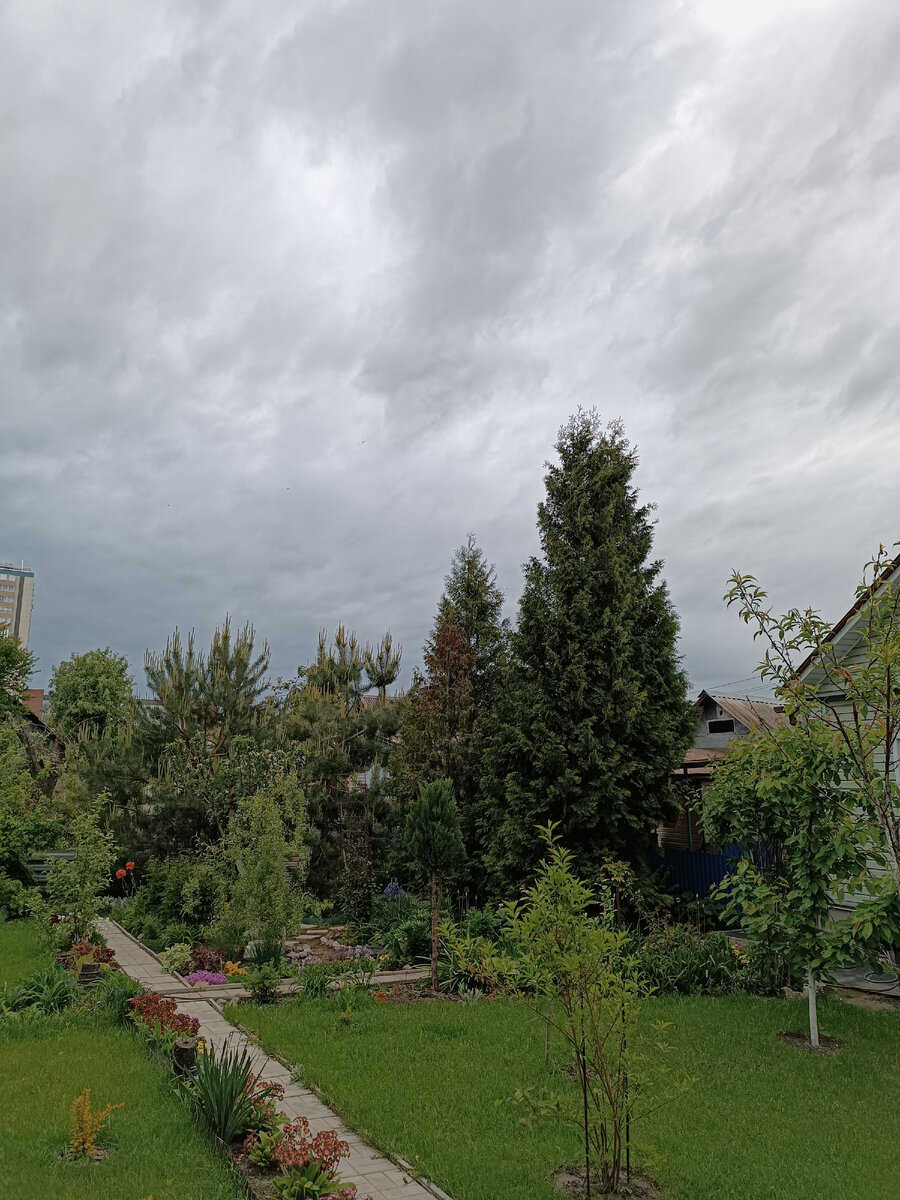 Фото автора Мой сад - огородик! Вечер...