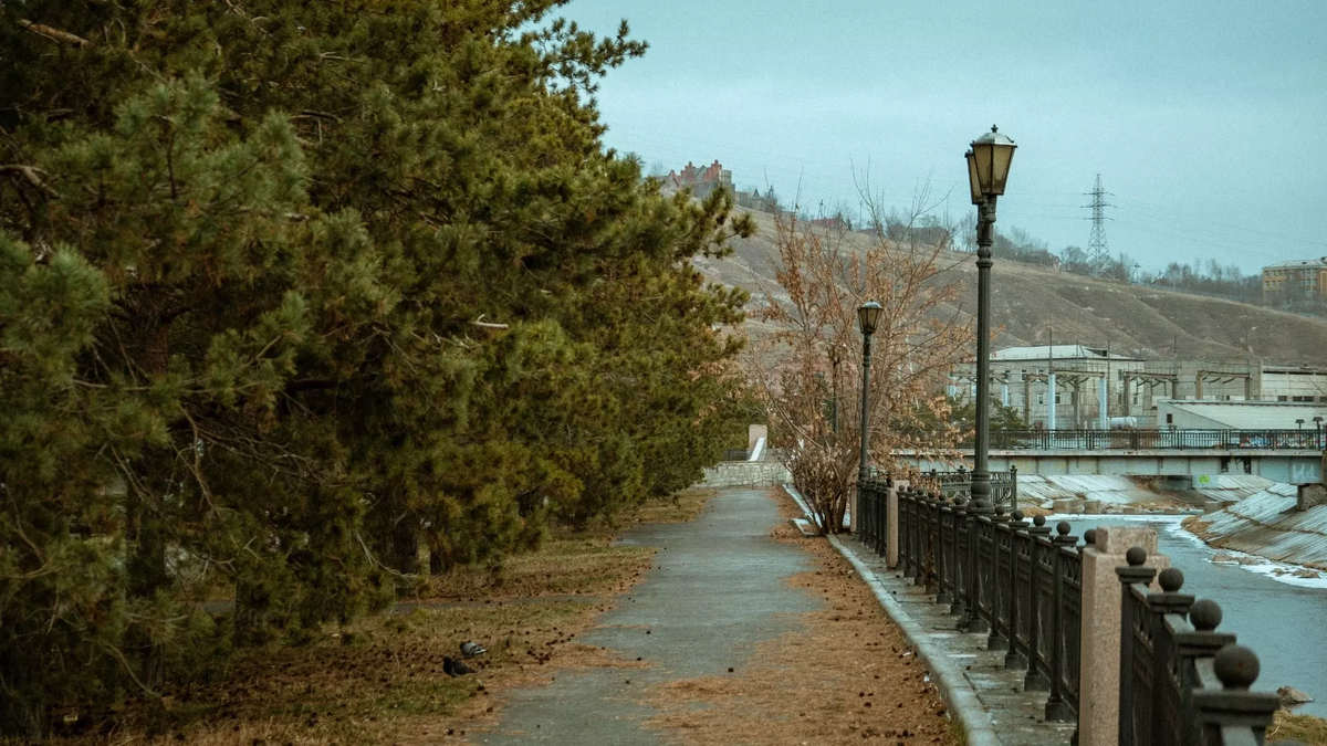 Фото: 1MI Кольцо по центру: в #Кудабежать разработали короткий маршрут для занятий спортом