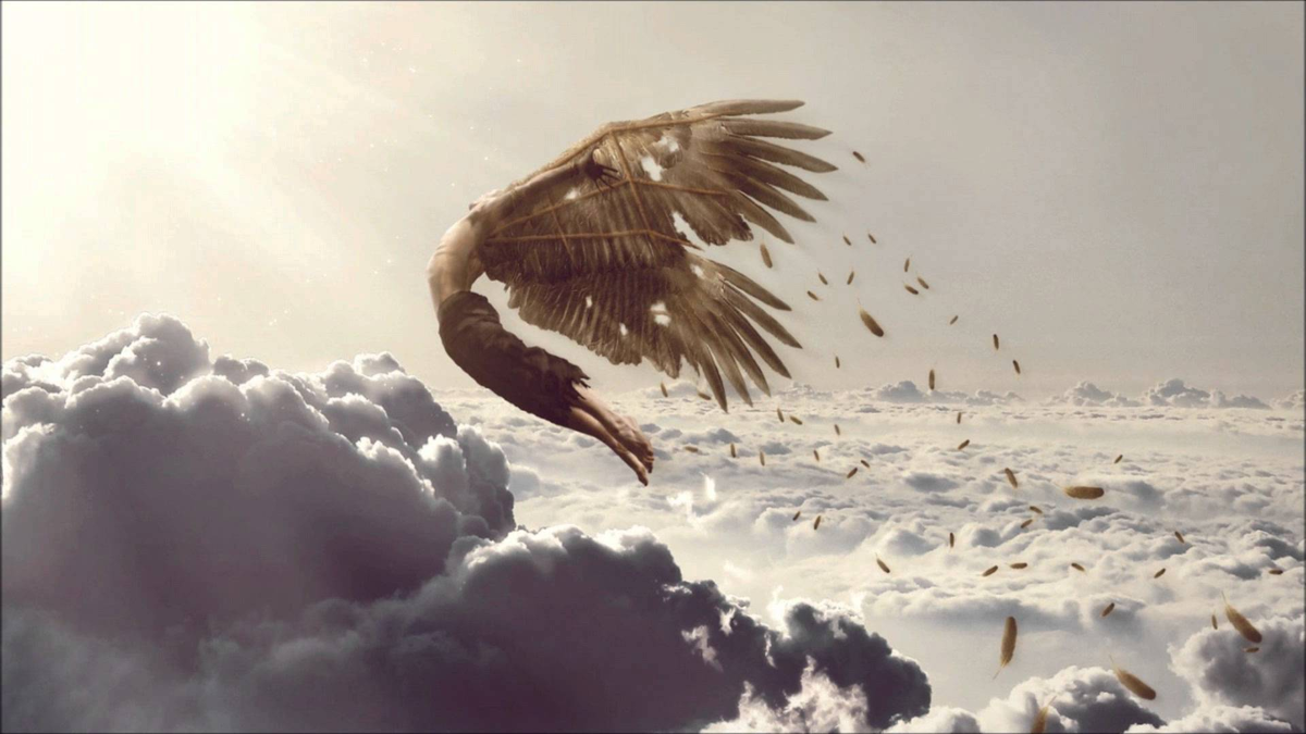 Из свободных источников