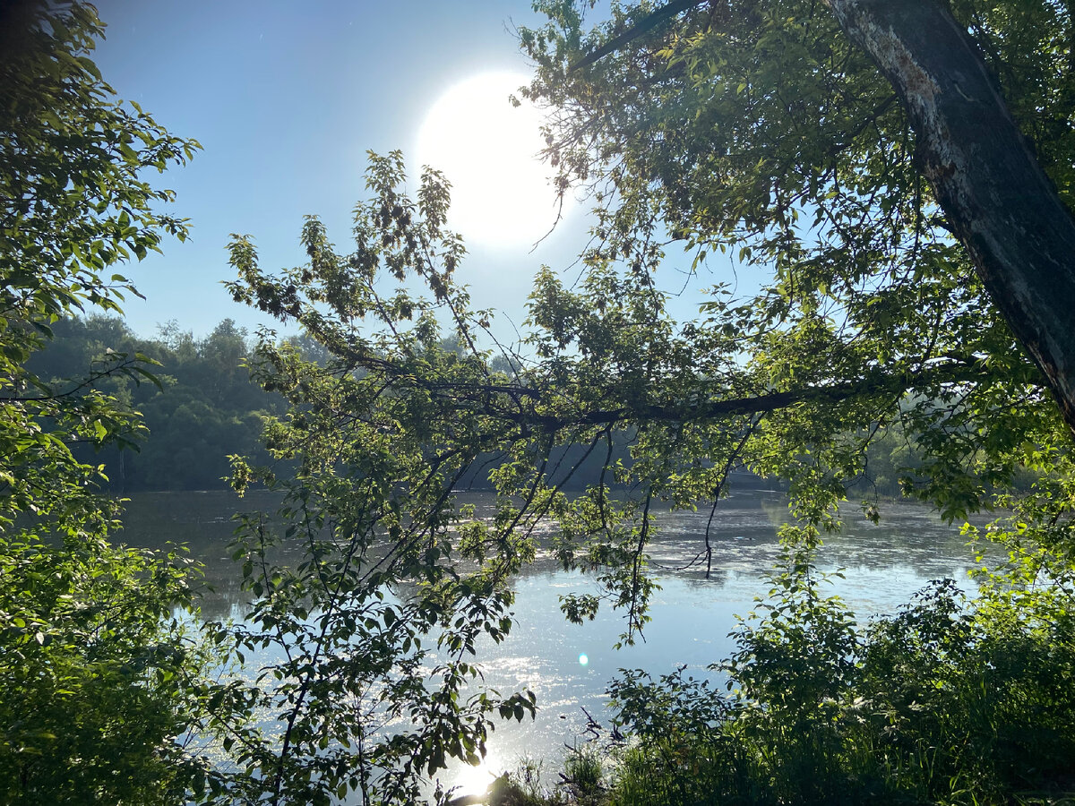 Берег реки, где я стою