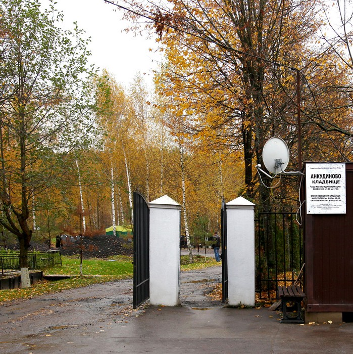 Фотография взята из источника yandex.ru