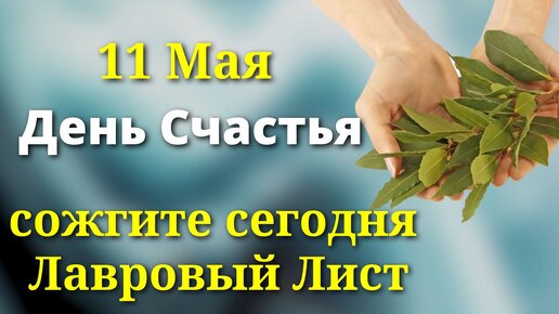 11 Мая День Счастья - сожгите в Доме Лавровый Лист