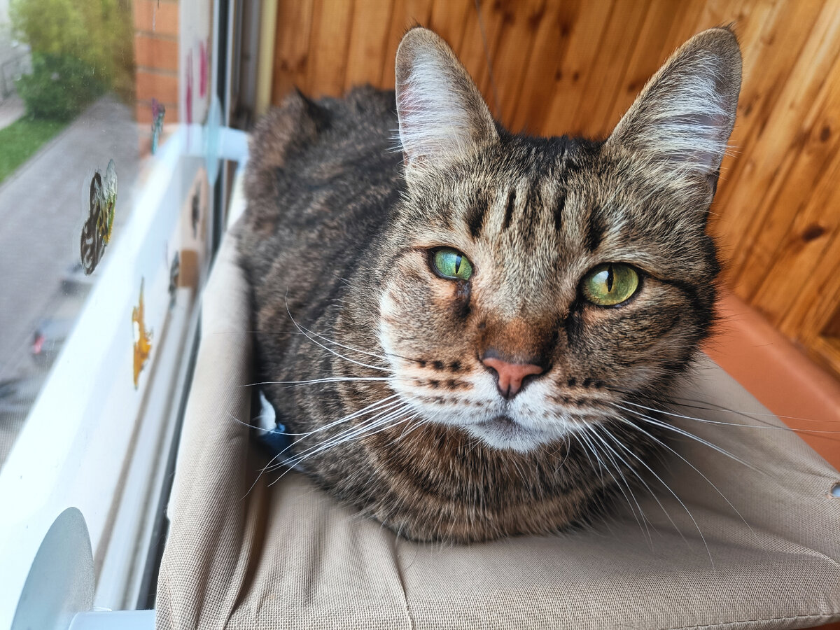 Я красавчик не смотря ни на что!