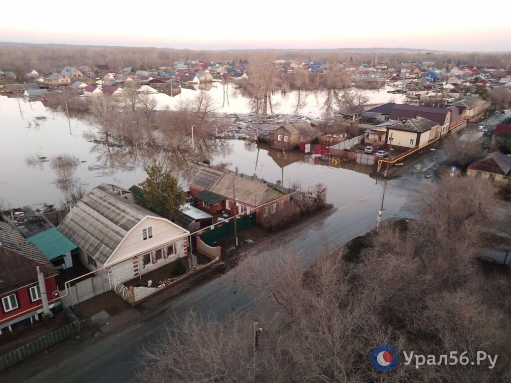 Паводок 2024 года в Оренбургской области оказался рекордным за последние  100 лет. Но возможно повторение наводнений | Урал56.Ру | Оренбург, Орск -  главные новости | Дзен