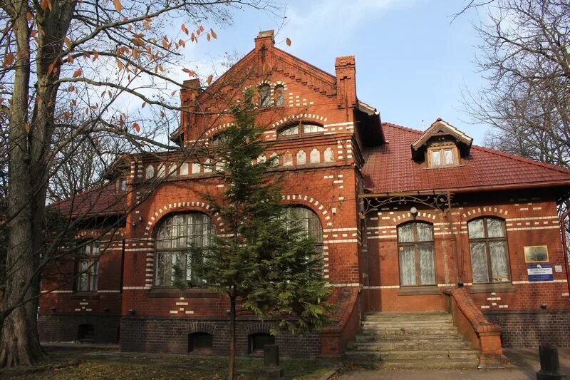 Зеленоградск краеведческий музей история фото Калининград. Прогулки по Зеленоградску, рыбная шаверма и птица счастья Побег из 