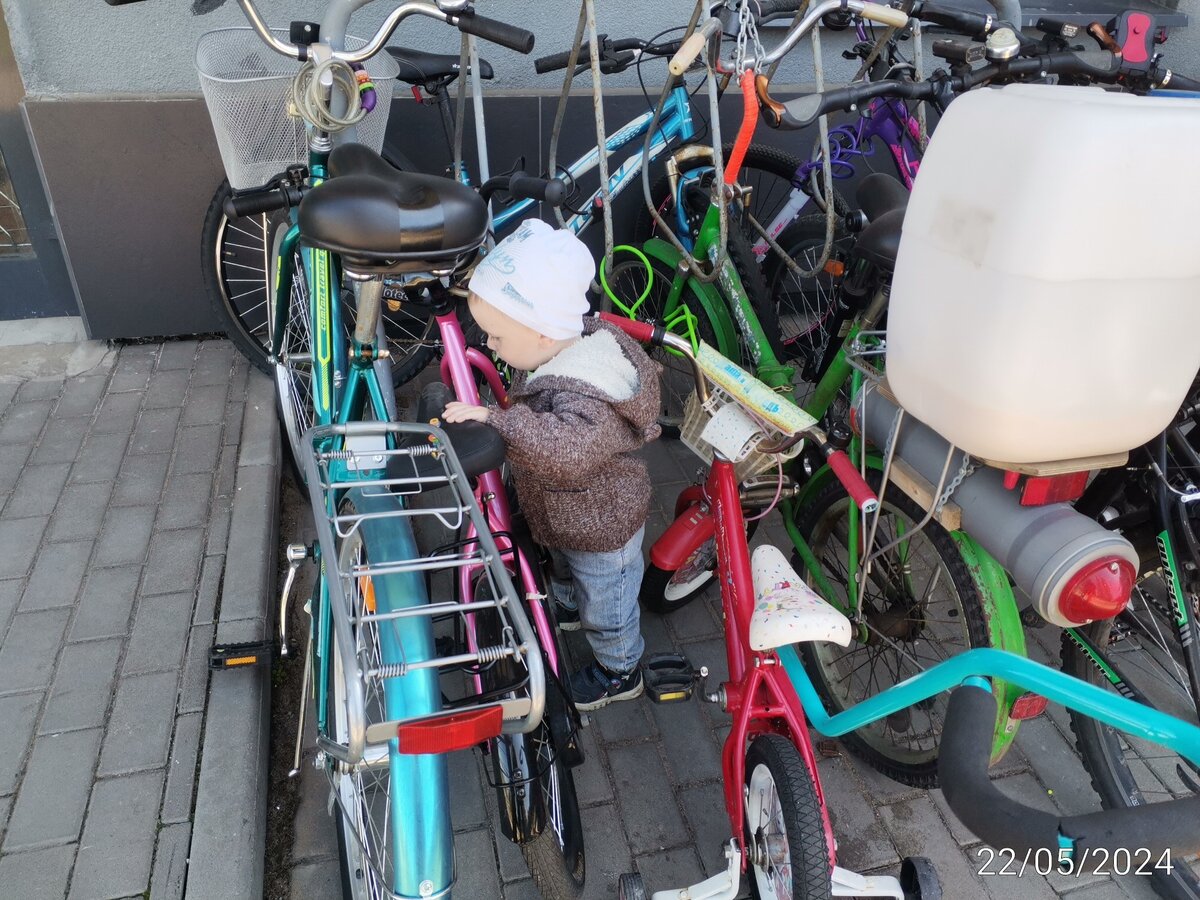 Вот так проходят наши прогулки. 😅 Крутит колеса, педали. Наслаждается зрелищем велосипедов. 