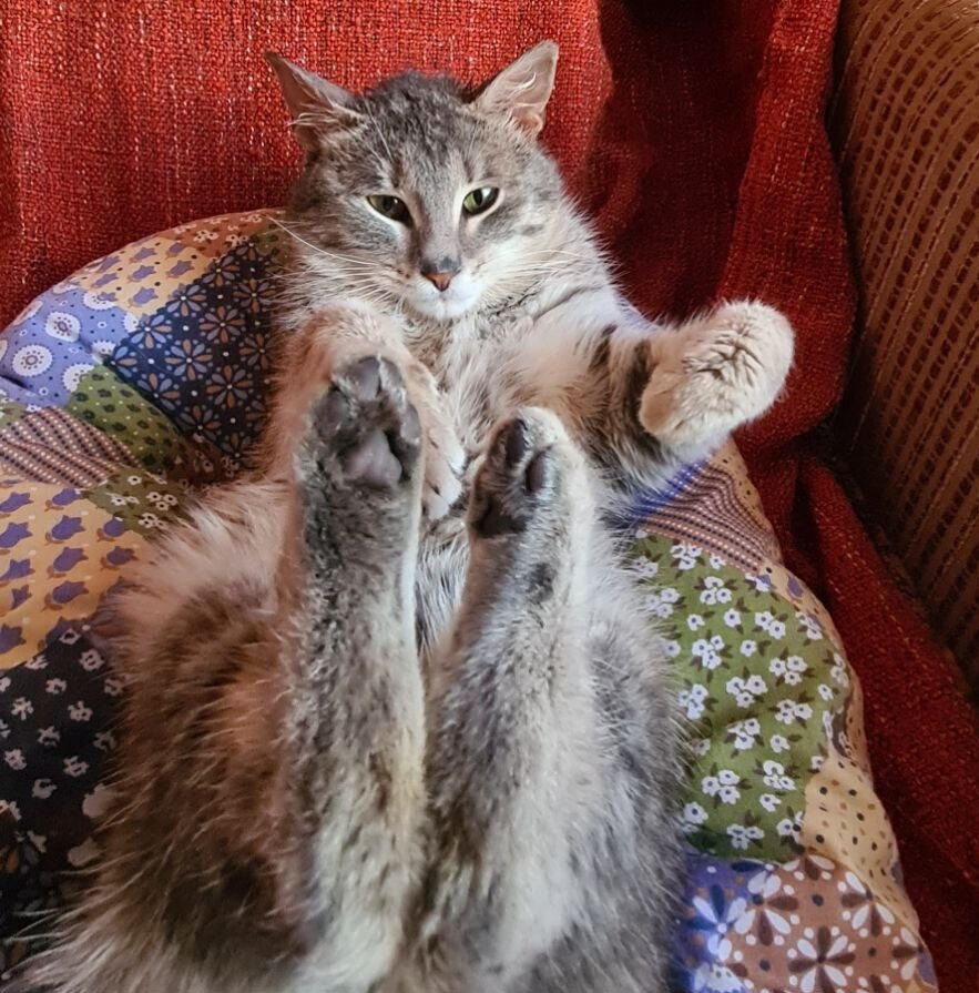 Так лежать обожаем