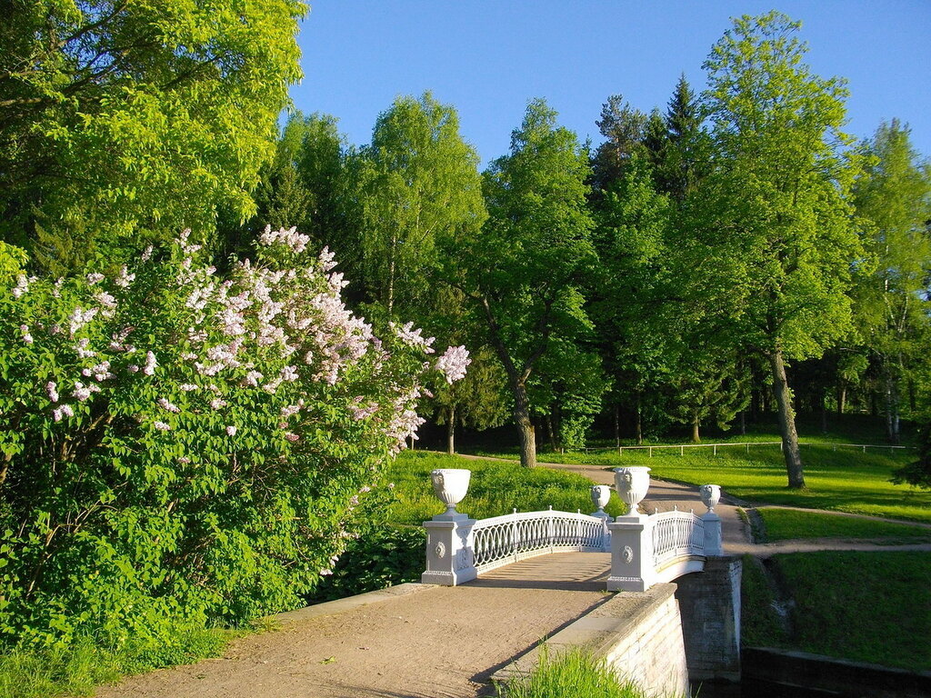 Фото из открытого источника.