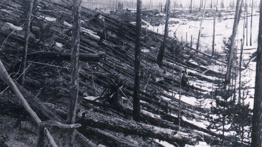 Изображение взято из открытого источника 