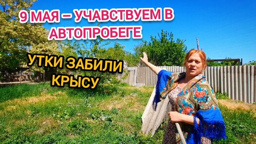 ДЕНЬ ПОБЕДЫ – УЧАСТВУЕМ В АВТОПРОБЕГЕ. Утка Села НА Яйца, Скоро Будет ПОТОМСТВО. Забили Крысу, Мы Были В Шоке. Собираю СЕНО В ДЕРЕВНЕ.