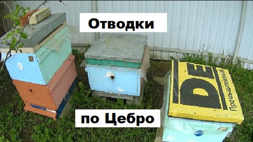 Противороевые отводки по Цебро.