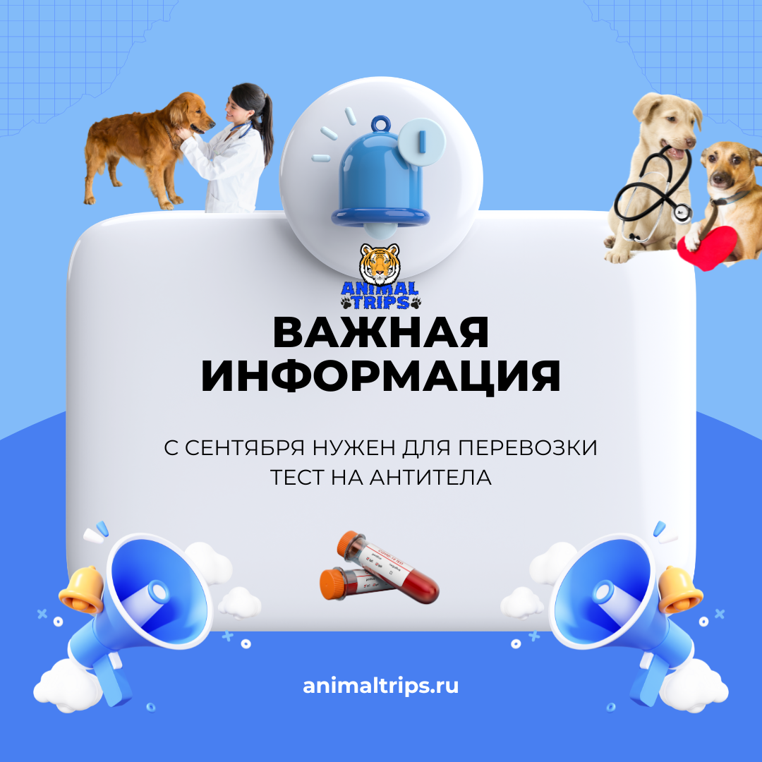 Новые требования ЕС к документам для перевозки домашних животных: введение  титров на бешенство | Animal Trips | Дзен