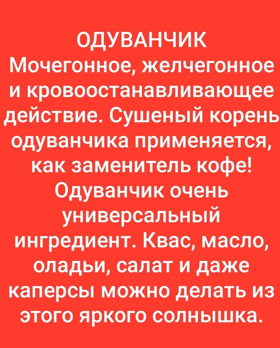 Ведьмёныш. Юность. Про Иру, про платье в горох и про соседей | Ведьмины  подсказки. Мифы, фэнтези, мистика | Дзен