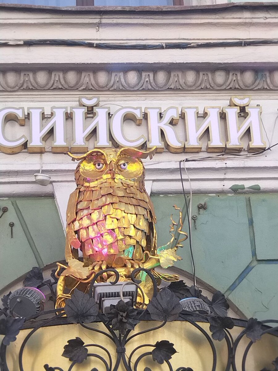 Даже филина успел где-то приметить