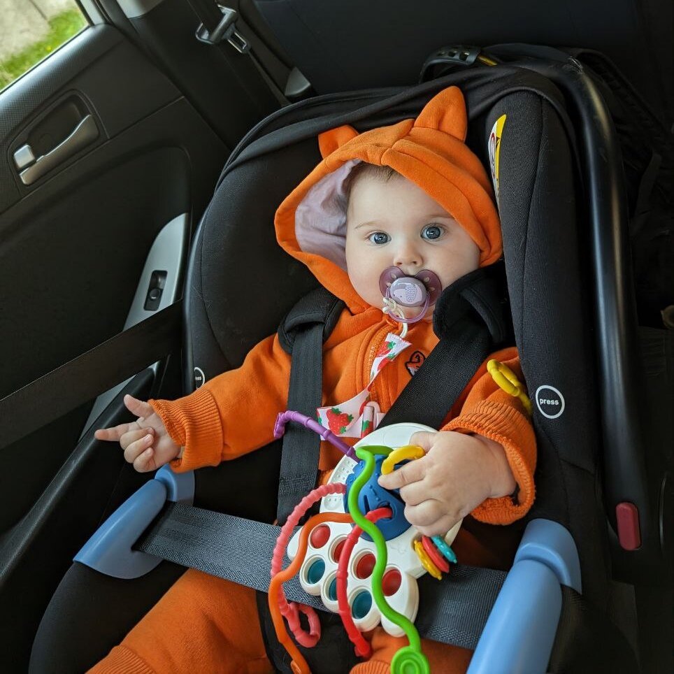 Вези меня в Липецк, большая черепаха!