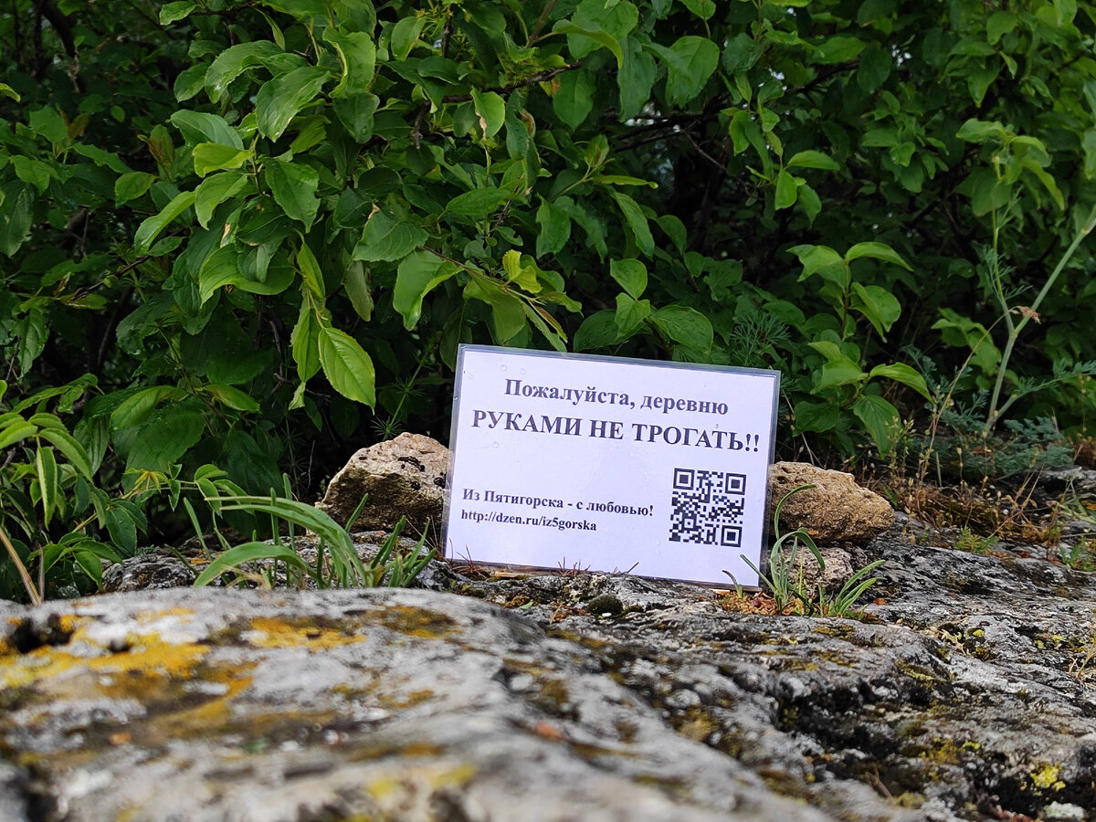 Маленькая надежда на долгую сохранность (фото автора)