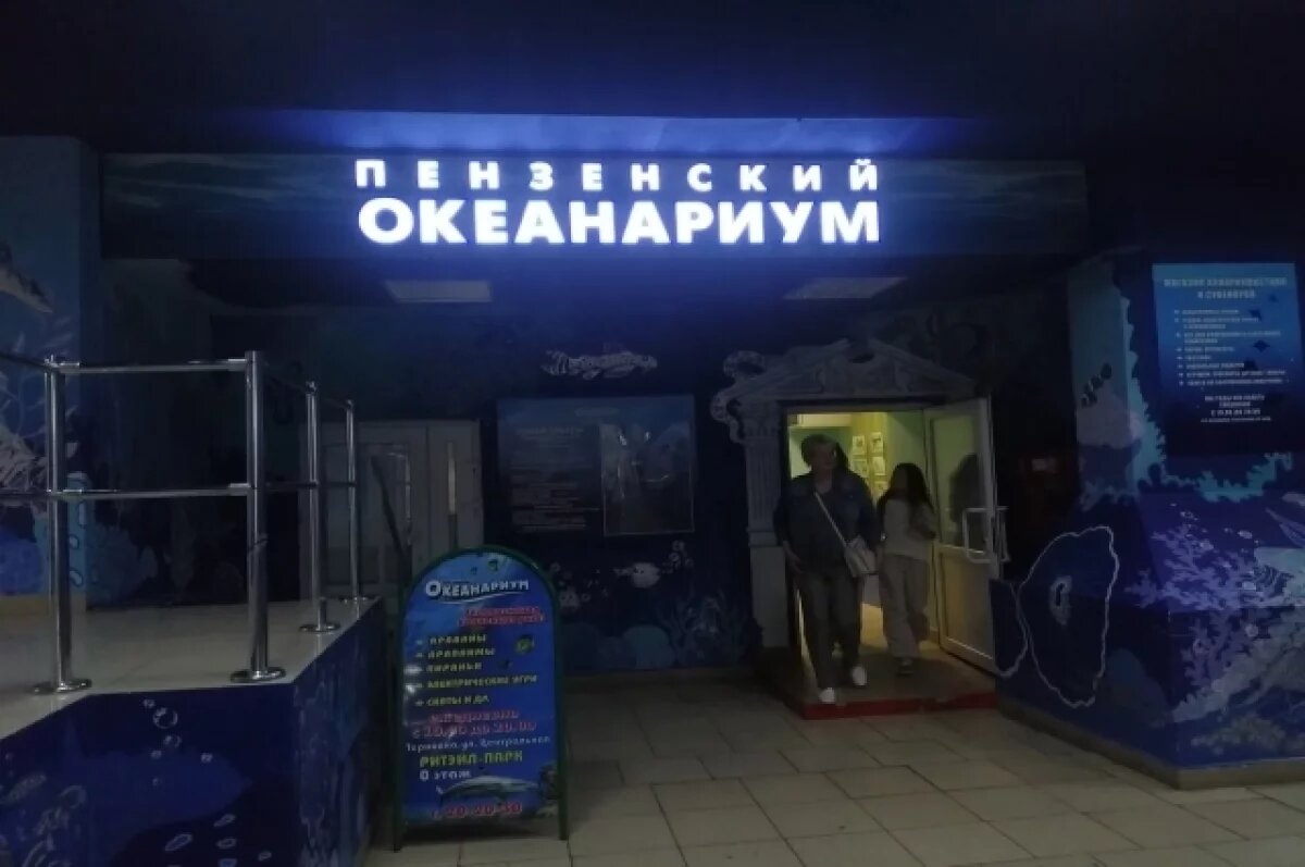    Океанариум и чемпионат по бодибилдингу.