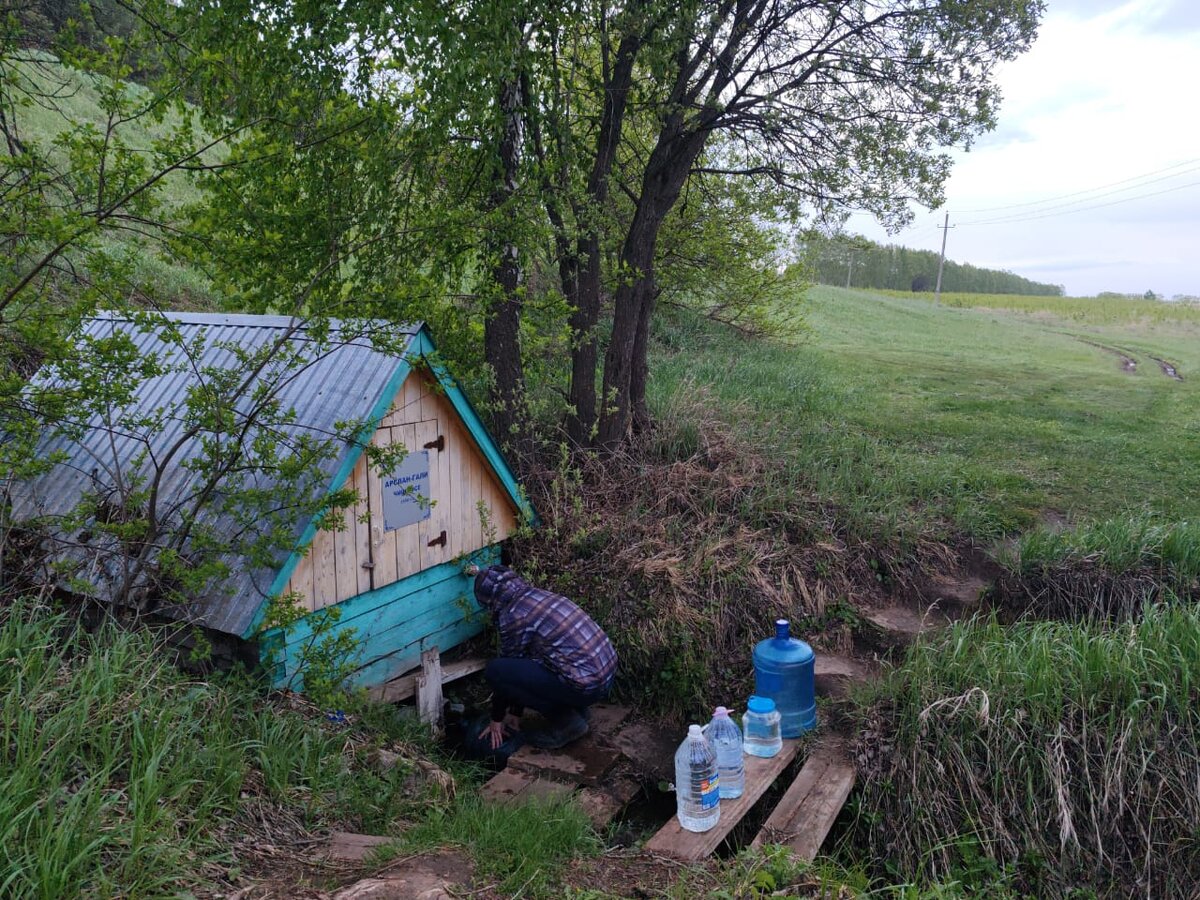 Деревенские зарисовки: пирог с калиной, шаурма и родниковая водица | Чай с  чак-чаком | Дзен