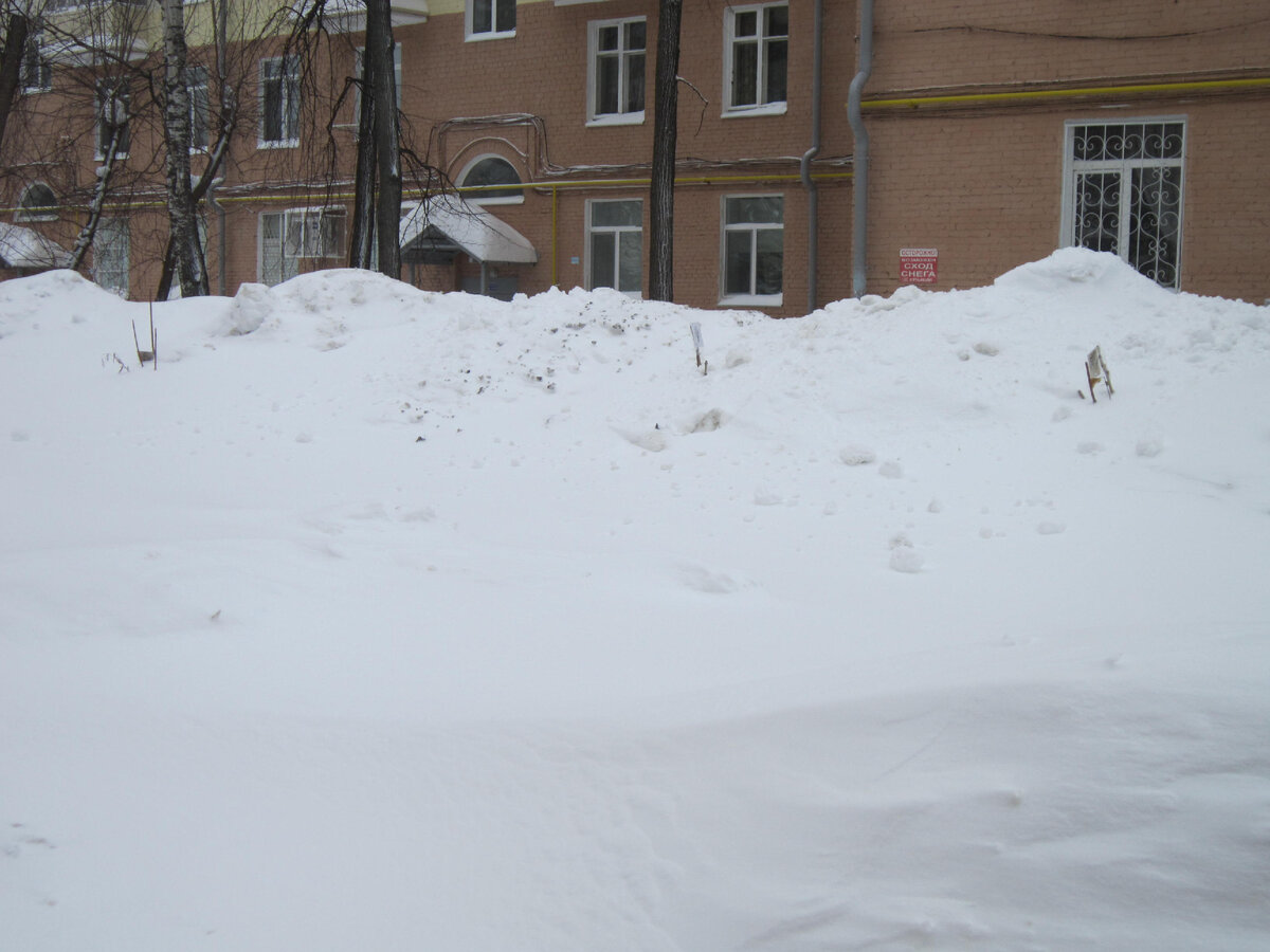 Снова зима. Под этими горами мои саженцы. Они отмечены флажками.