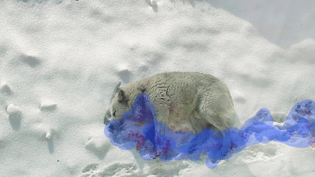 Пришлось изуродовать фотку синим, тк Дзэн блокирует статьи из-за откровенных фоток.