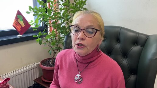 Почему Елена Шувалова голосовала против наказания Евгения Ступина
