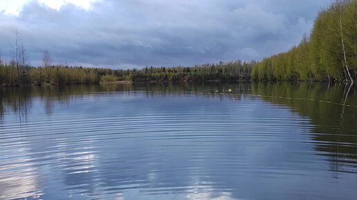 Вододрон: карьеры и лесные пруды