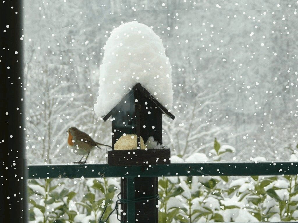 С неба падает снег. Изображение из сети