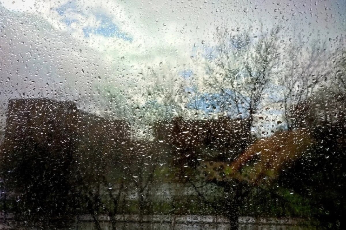    Местами дожди и похолодание: какая погода будет в Хабаровском крае 11 мая