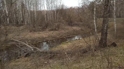 Разведка места для рыбалки на таежной речке