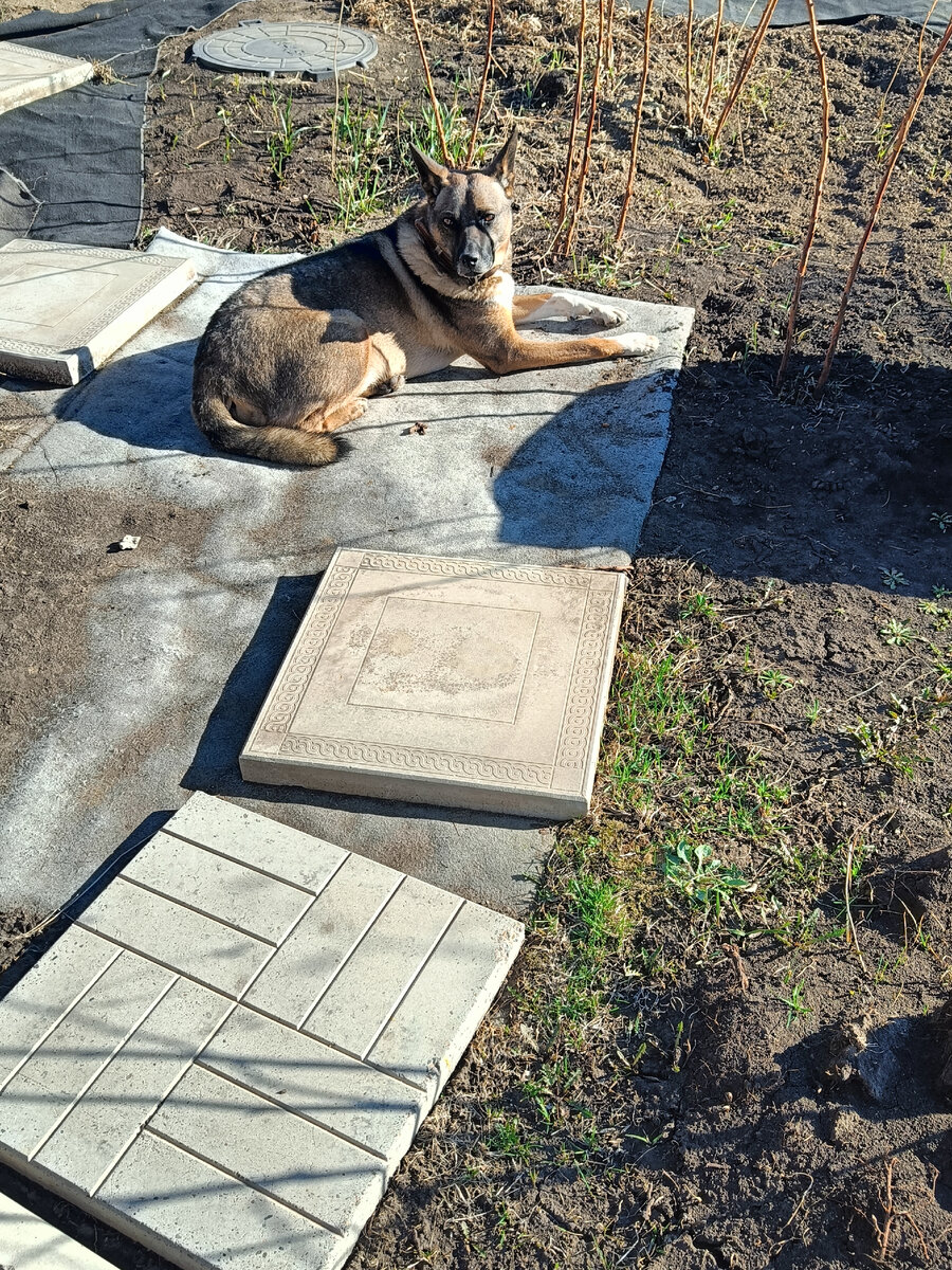 СтЕпичка загорает.