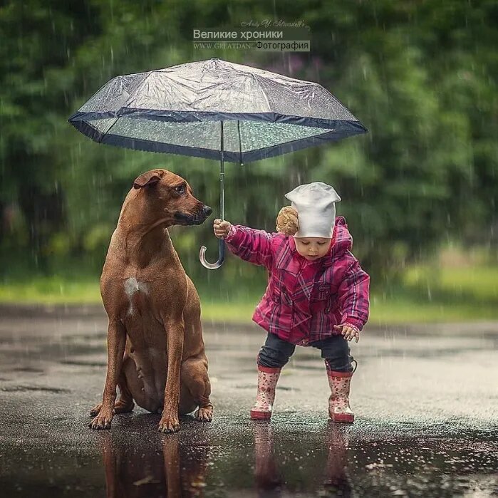 Животные и дети - это удивительное сочетание невинности, радости и бесконечной любви.