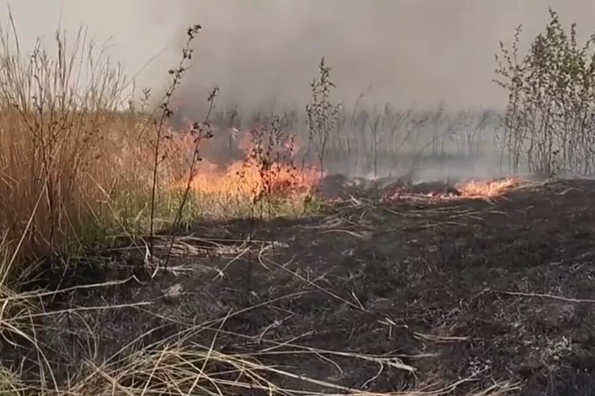   Огромный пал травы потушили на острове под Хабаровском
