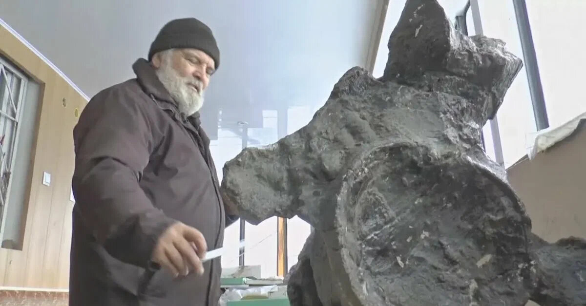 Вот так выглядит часть найденных останков. Размеры впечатляют. Только вдумайтесь, это лишь малая часть, один единственный позвонок!