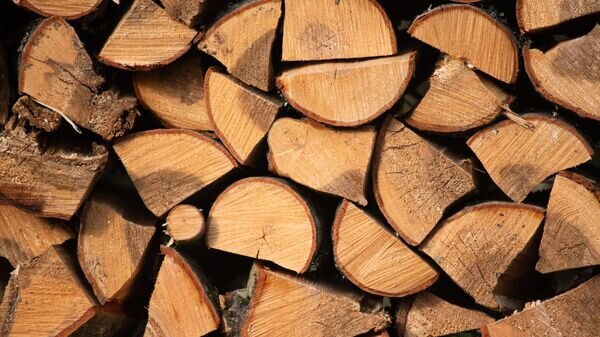    © Photo : Unsplash / Sergey Lapunin