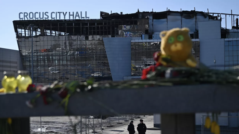    РИА Новости / Григорий Сысоев