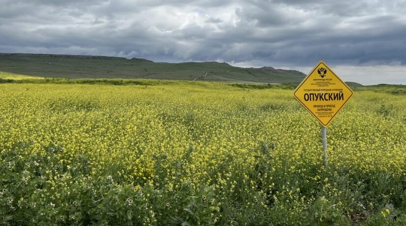 Фото: Радио Крым