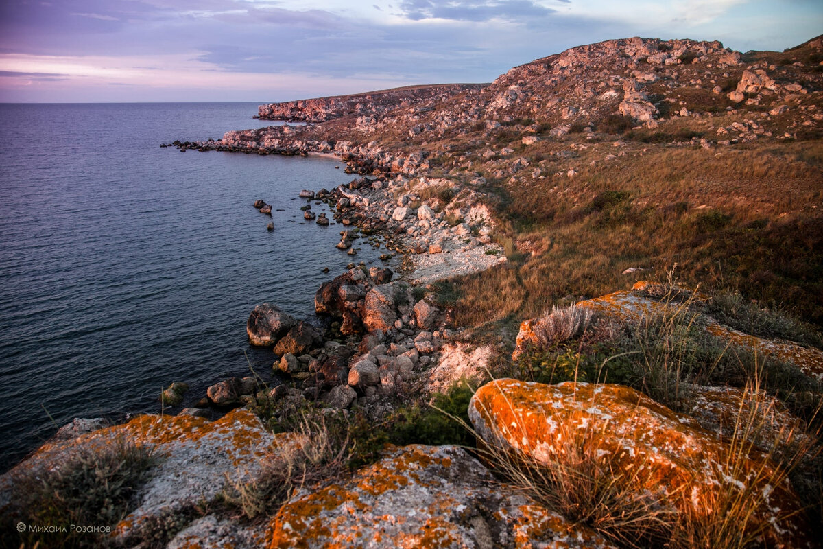 Фото: ФГБУ “Заповедный Крым”