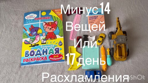 17 день расхламления , минус 14 вещей