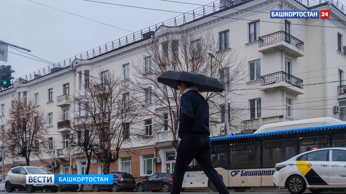    Ветер до 25 метров в секунду: в МЧС Башкирии сообщили жителям республики о штормовом предупреждении