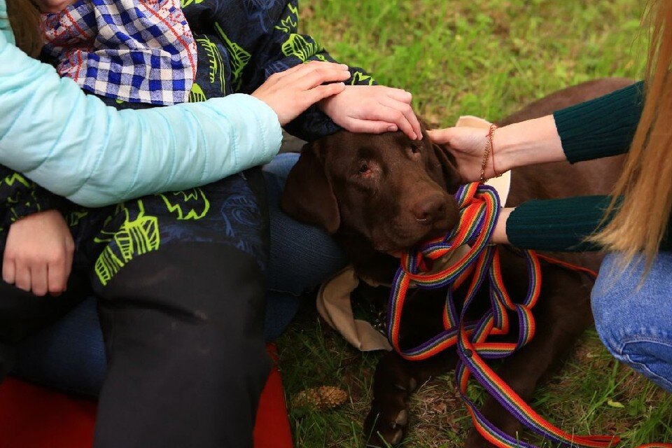    Ради работы доктором активному Зефиру пришлось учиться быть терпеливым и спокойным. Он не огрызнется, даже если его неожиданно схватят за хвост или ухо. Фото: личный архив героя публикации