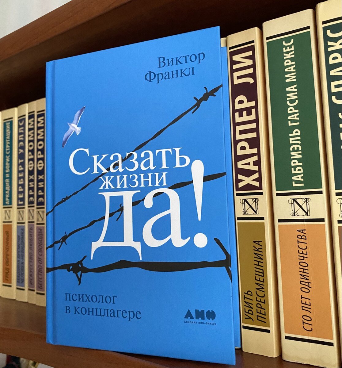 Виктор Франкл «Сказать жизни «Да»! | Берлога книголюба | Дзен