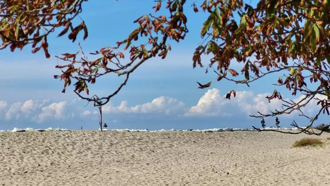     Источник: newizv.ru