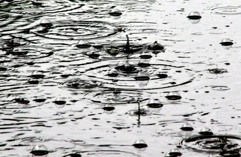 Фото: Валерий Иванов