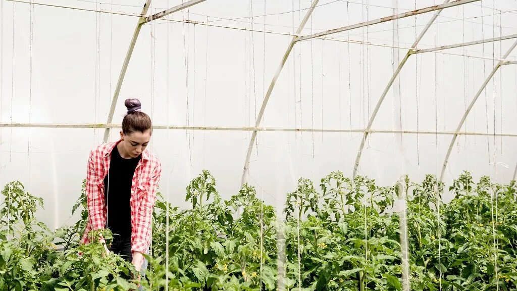 Фото: freepik.com 