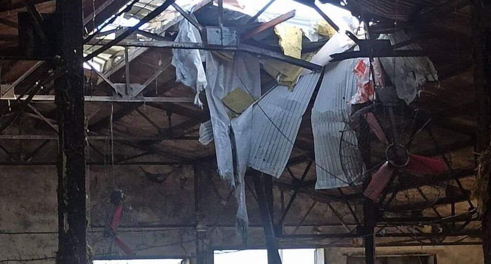    Губернатор Белгородской области Вячеслав Гладков / Telegram