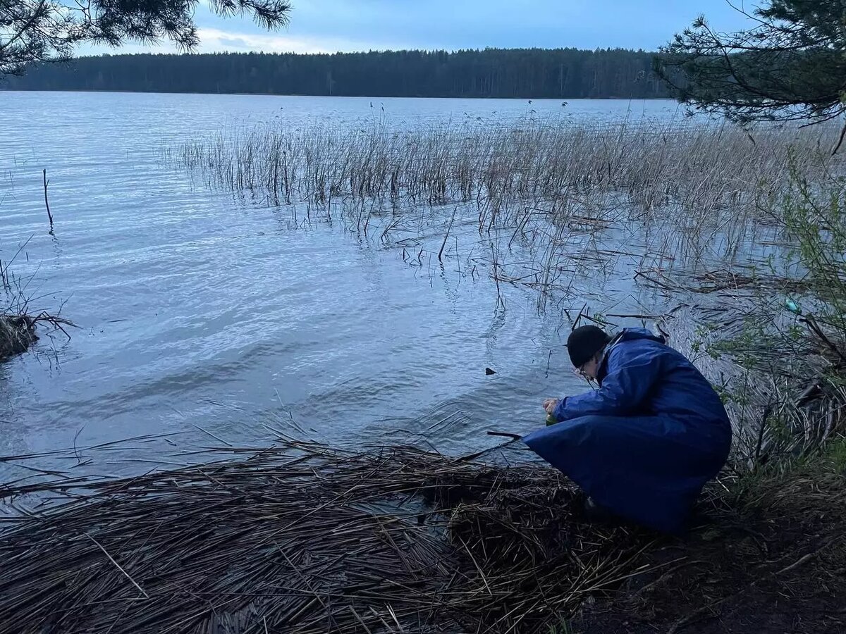 Пахнет химией»: минприроды проверит воду из ручья в Воткинском районе |  udm-info.ru | Дзен