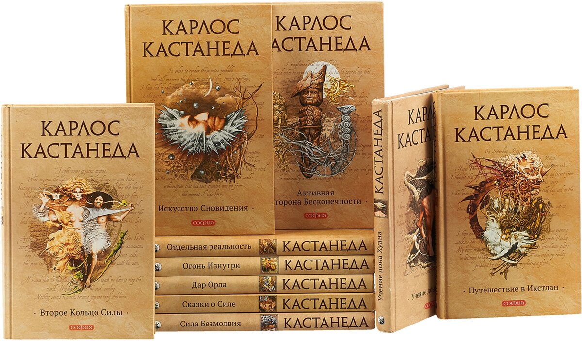 Рационально-психологические идеи в книгах Карлоса Кастанеды. Безупречность.  Намерение. Терпение | Елена Шемякина | Психолог | Блог | Дзен