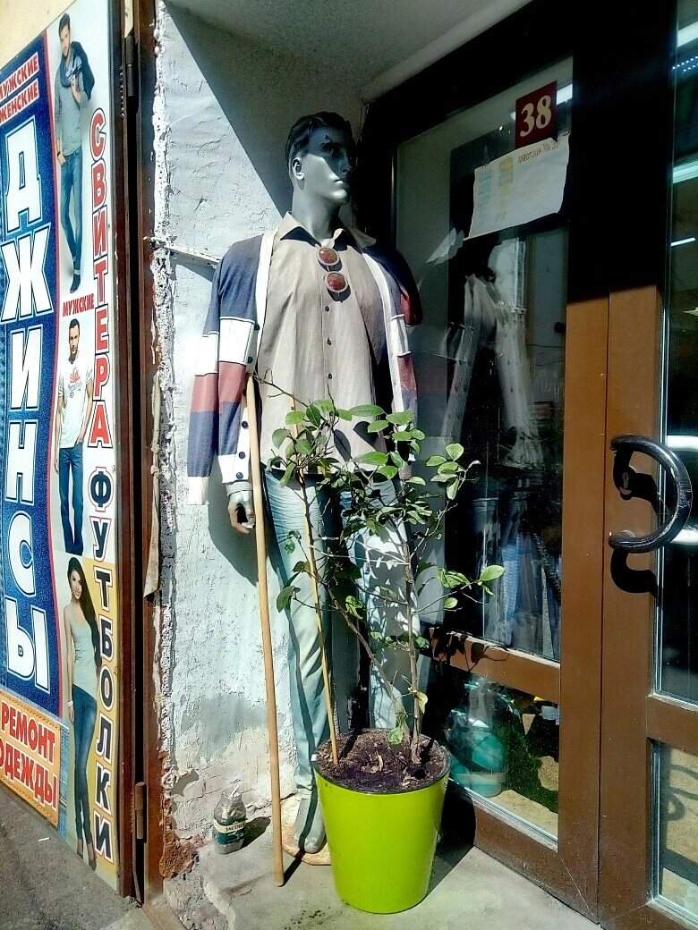 Фото автора 