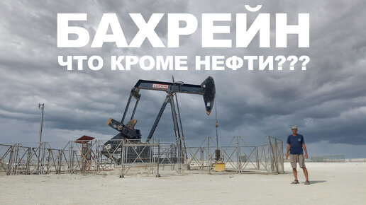 БАХРЕЙН 2024, КЕМПИНГ С НЕФТЬЮ, АНШЛАГ ПОД ДЕРЕВОМ, В ЭПИЦЕНТРЕ ТАЙФУНА, КОРМЛЕНИЕ ФЛАМИНГО, МАНАМА.