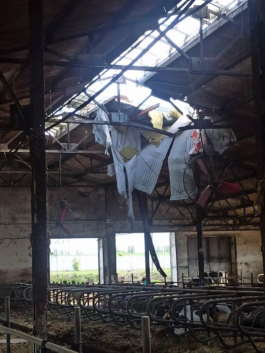     Автор: Вячеслав Гладков Источник: соцсети